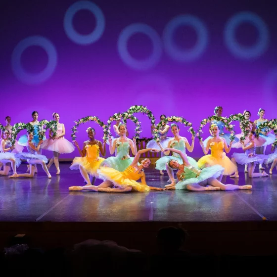 école de danse classique aix-en-provence puyricard